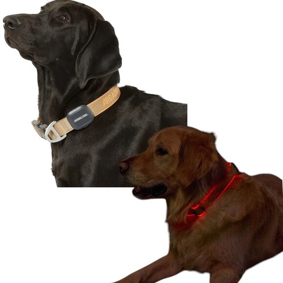 Arcadia Trails LED Light Adjustable Size Large Dog Collar Tan Buckle Close - Picture 1 of 5